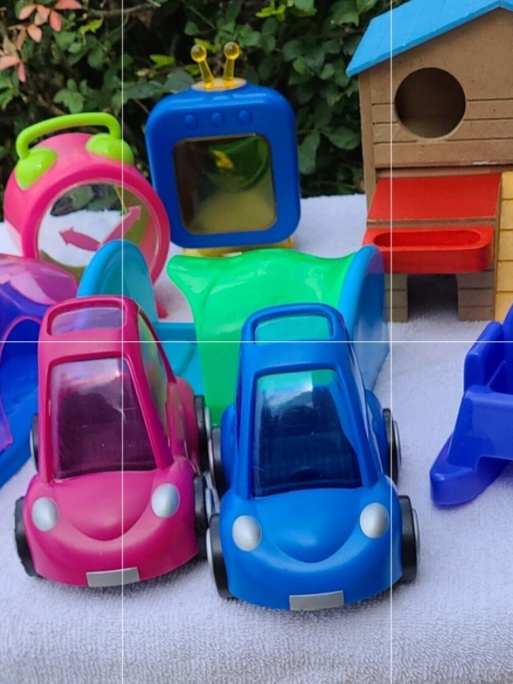 Hamster/Fancy Mouse Accessories